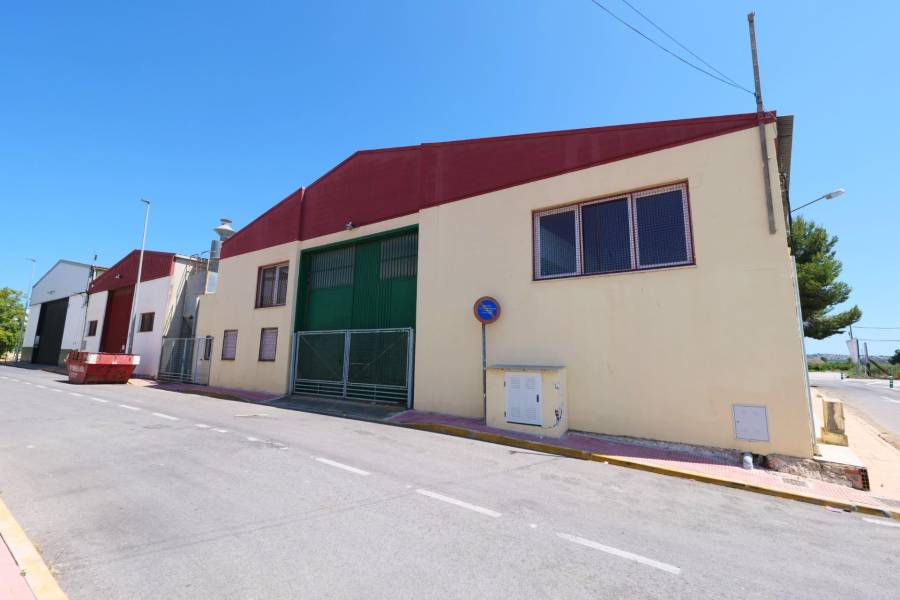 Vente - Bâtiment industriel - Almoradí - Almoradi