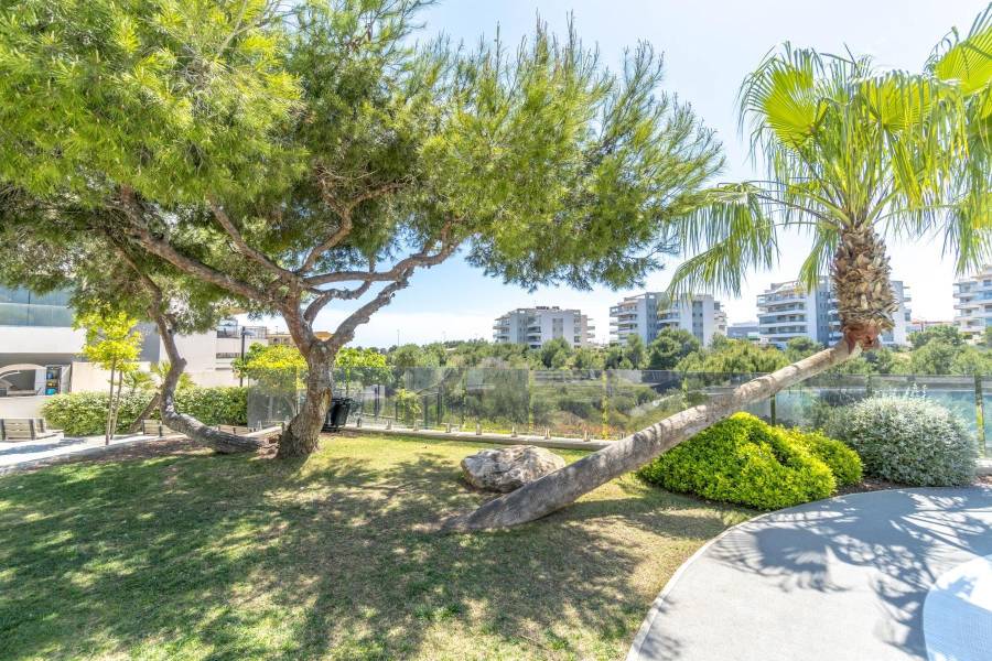 Sale - Penthouse - Los Dolses - Orihuela Costa