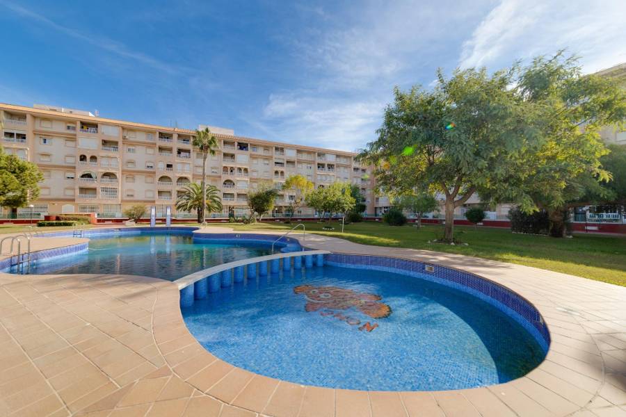 Sale - Penthouse - Centro - Torrevieja