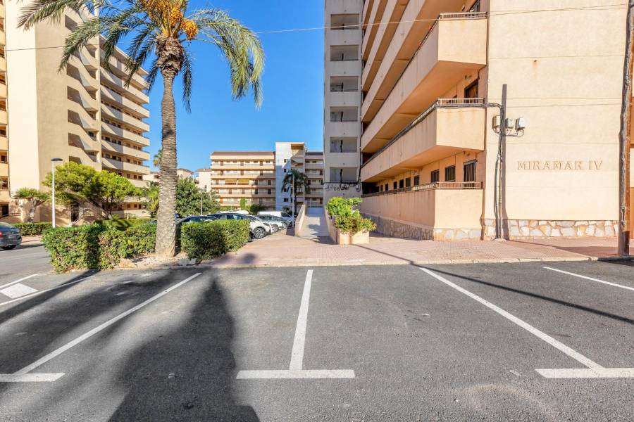 Sale - Apartment - Cabo cervera - Torrevieja