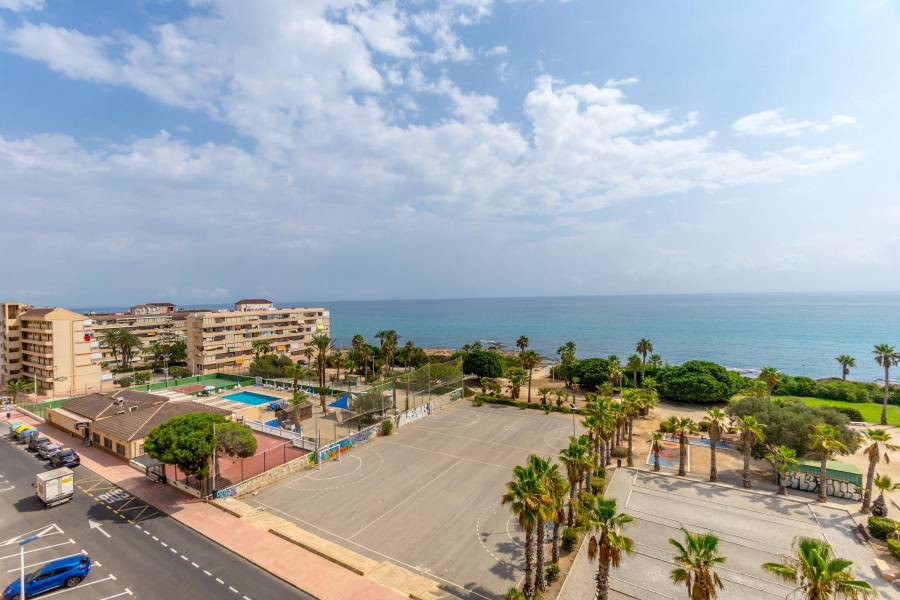 Vente - Penthouse - Cabo cervera - Torrevieja