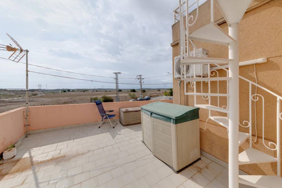 Sale - Single family house - Pueblo - San Miguel de Salinas