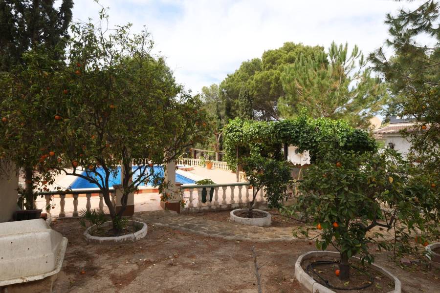 Venta - Chalet - Los balcones - Torrevieja