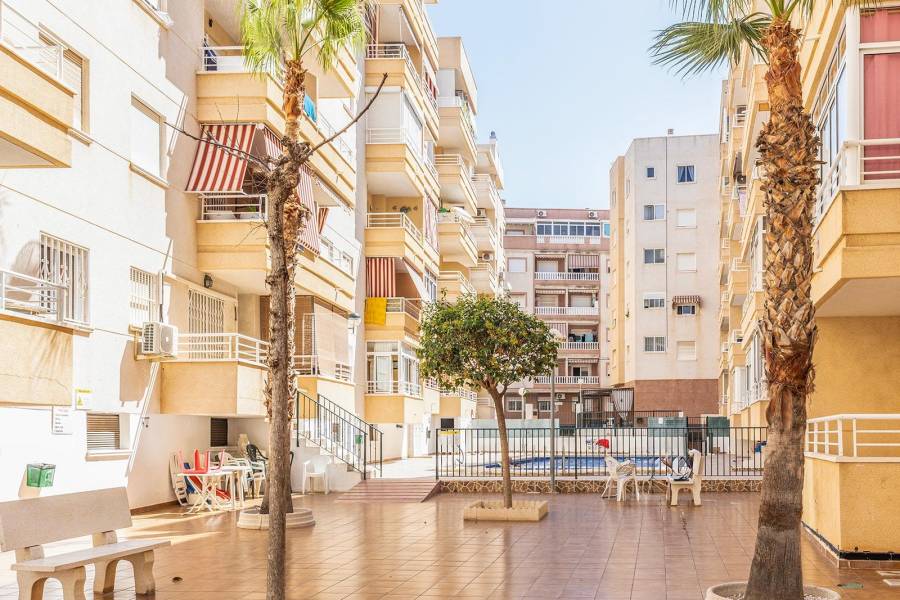 Sale - Apartment - Estacion de autobuses - Torrevieja