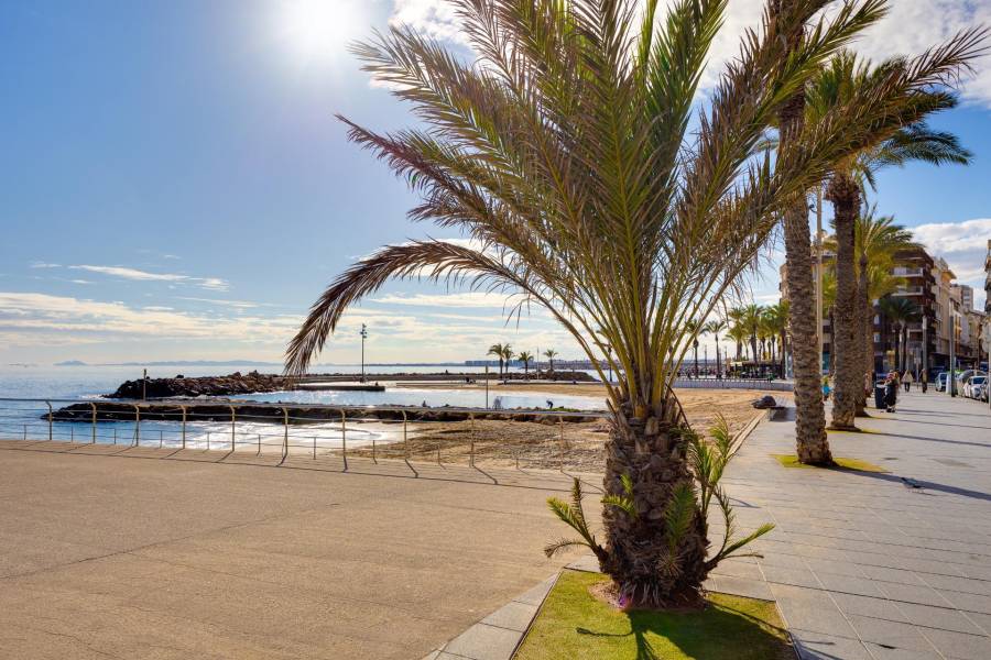 Vente - Studio - Centro - Torrevieja