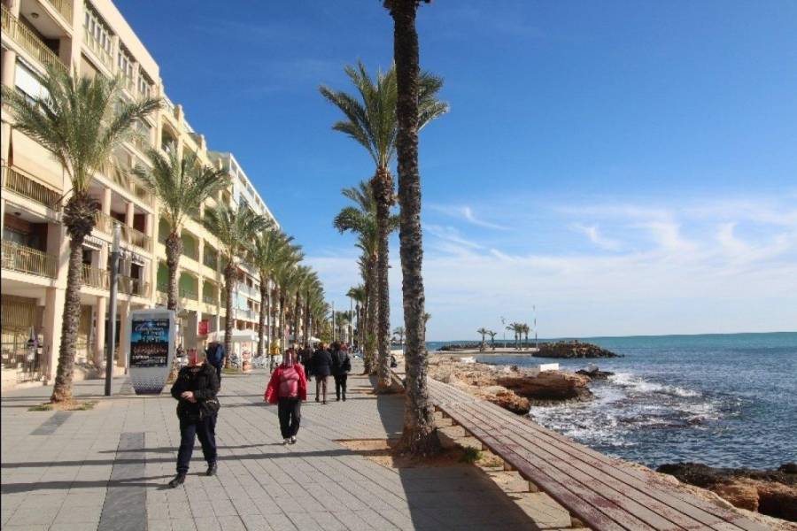 Vente - Studio - Paseo maritimo - Torrevieja