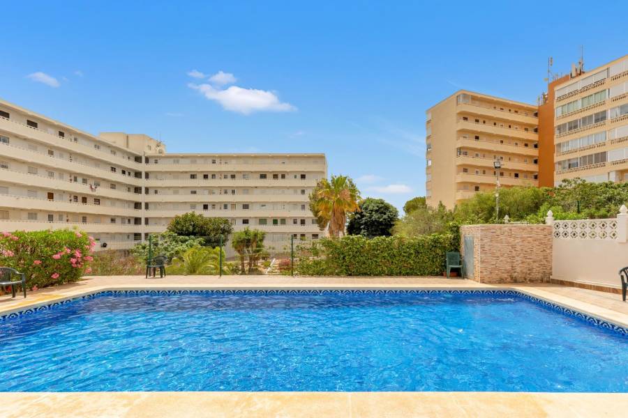 Sale - Duplex Penthouse - Torre la mata - Torrevieja