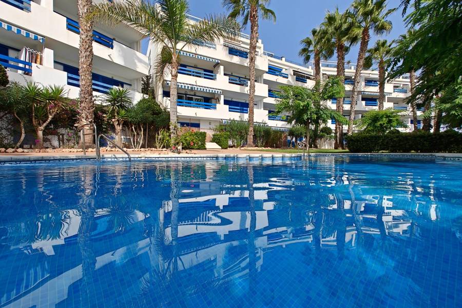 Vente - Appartement - Playa Flamenca - Orihuela Costa