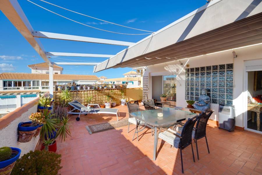 Vente - Penthouse - La Mata - Torrevieja