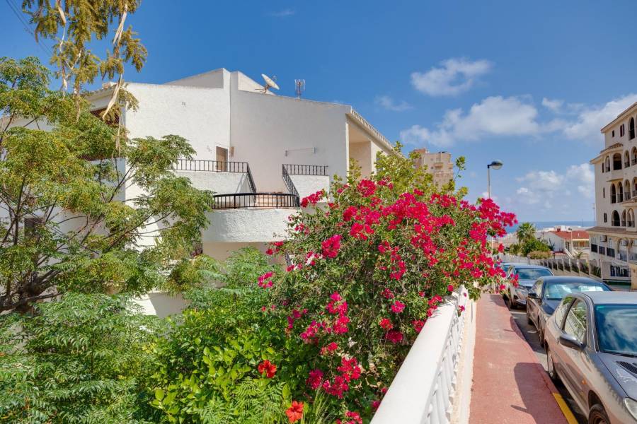 Venta - Apartamento - La Mata - Torrevieja