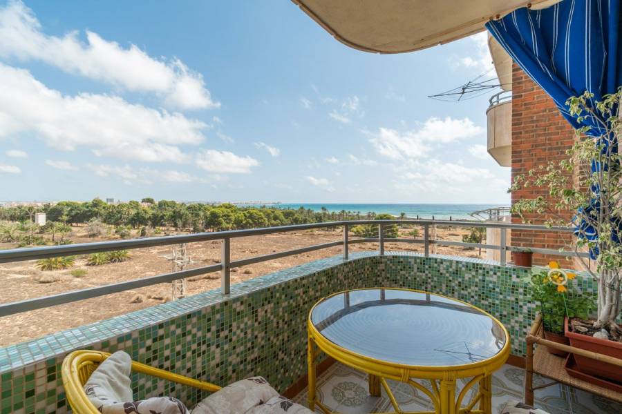 Vente - Appartement de ville - Rocio del mar - Torrevieja