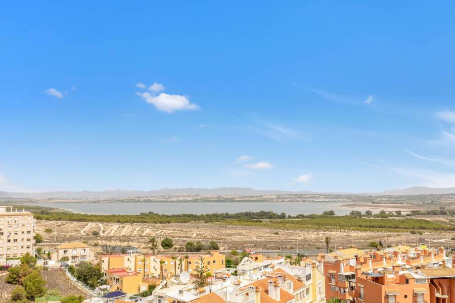 Sale - Duplex Penthouse - Torre la mata - Torrevieja