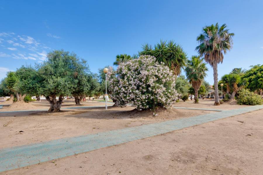 Vente - Maison mitoyenne - SANTIAGO DE LA RIBERA - Santiago de la ribera