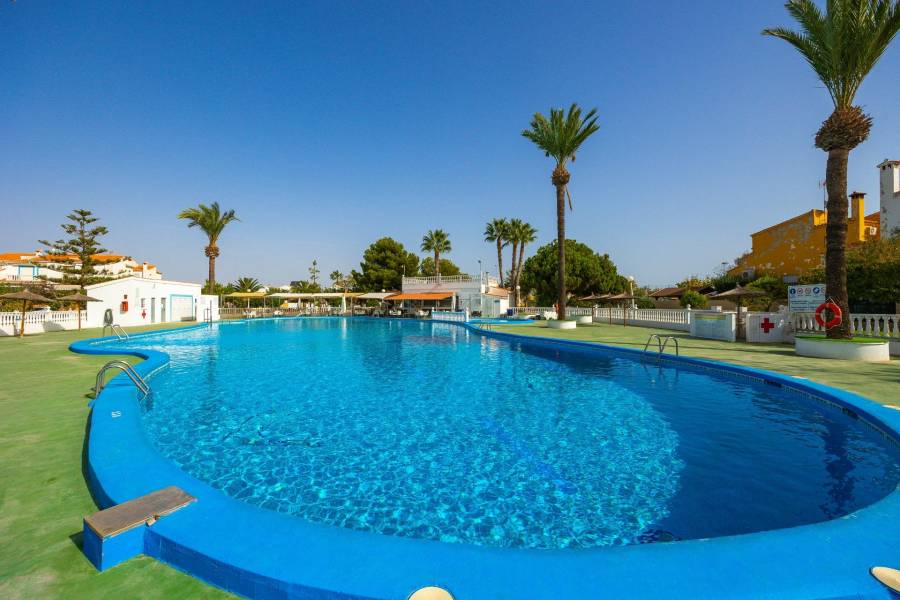 Sale - Terraced house - Torreta florida - Torrevieja