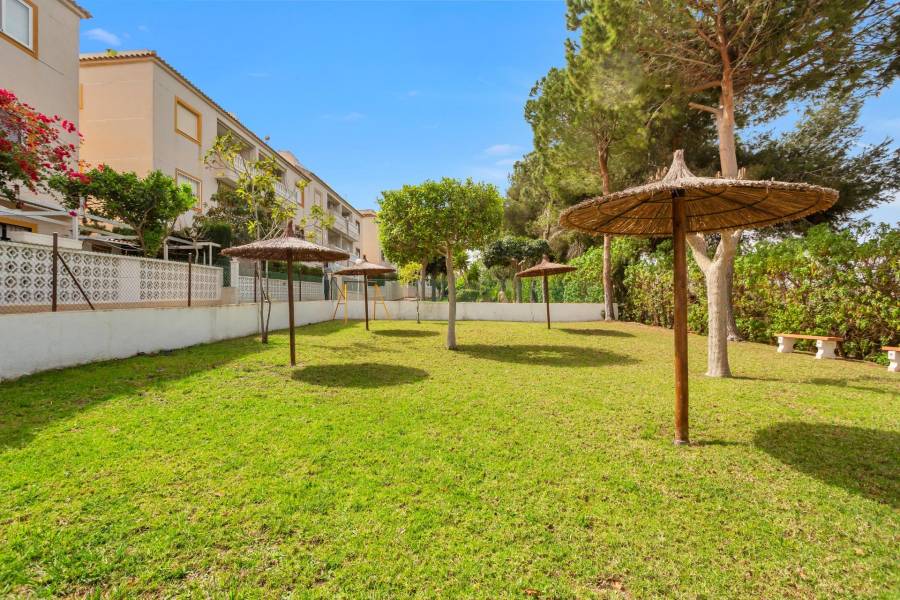 Sale - Ground floor apartment - Torreblanca - Torrevieja