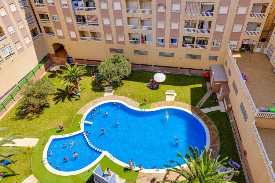 Sale - Apartment - Centro - Torrevieja