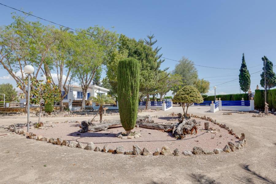 Vente - Maison individuelle - Correntías Bajas - Orihuela