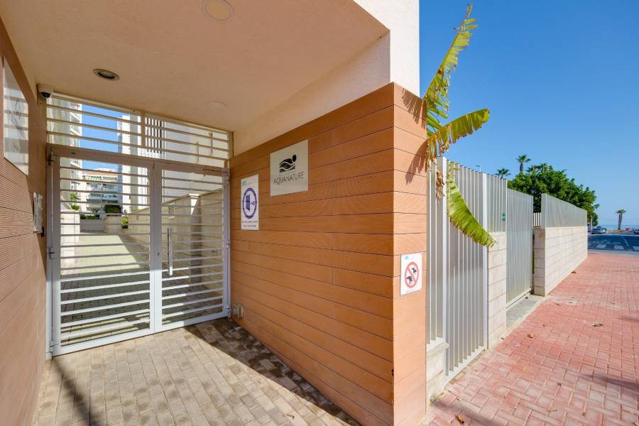 Sale - Apartment - La Mata - Torrevieja