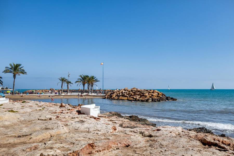 Vente - Maison mitoyenne - Parque las naciones - Torrevieja