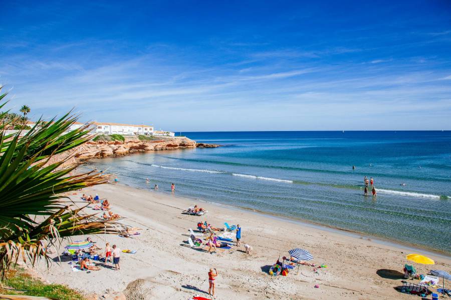 Venta - Quad - Playa Flamenca Norte - Orihuela Costa