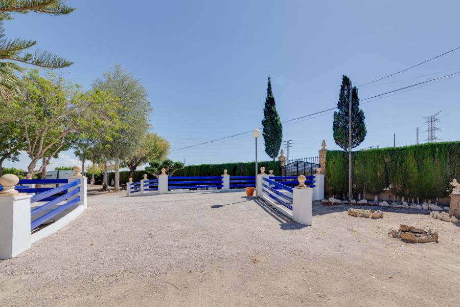 Vente - Maison individuelle - Correntías Bajas - Orihuela