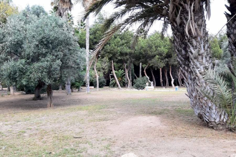 Venta - Ático Dúplex - Acequion - Torrevieja