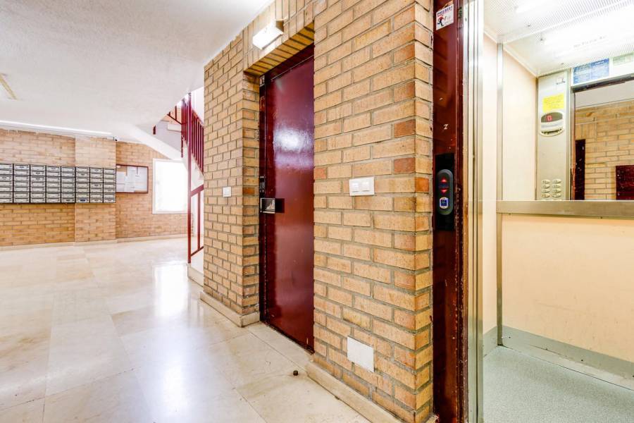 Sale - Apartment - Playa de los locos - Torrevieja