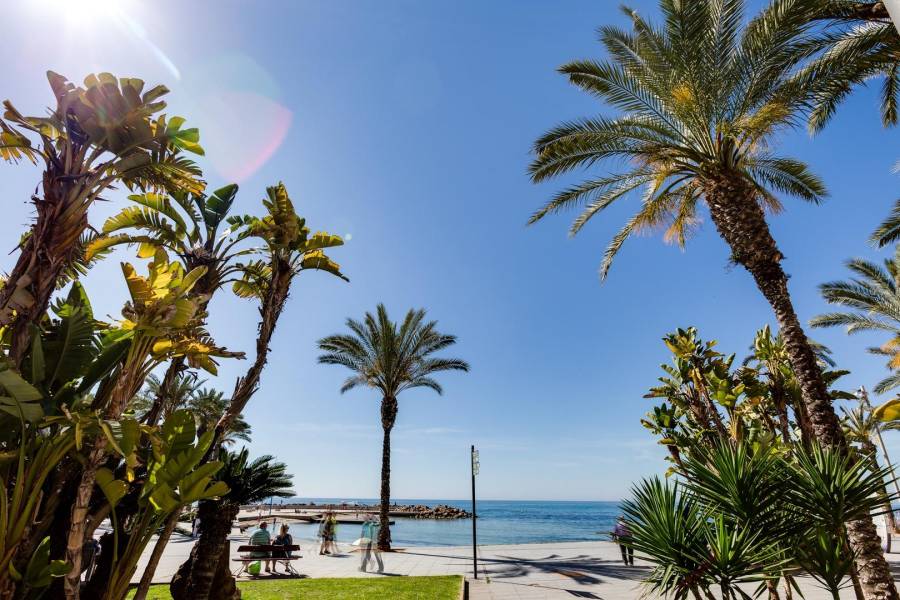 Venta - Adosado - Parque las naciones - Torrevieja