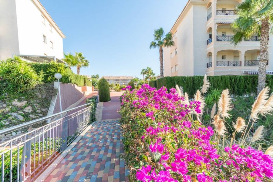 Sale - Ground floor apartment - Playa Flamenca - Orihuela Costa