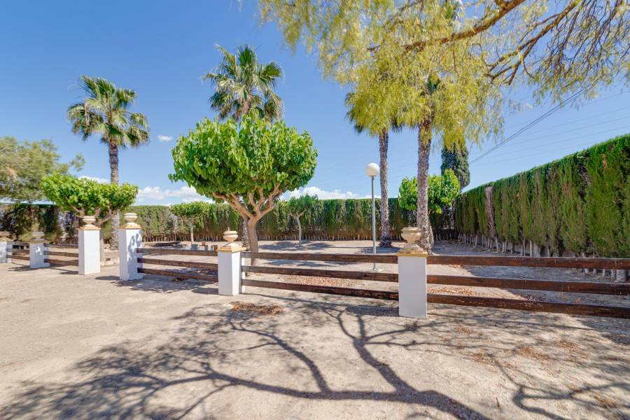 Vente - Maison individuelle - Correntías Bajas - Orihuela