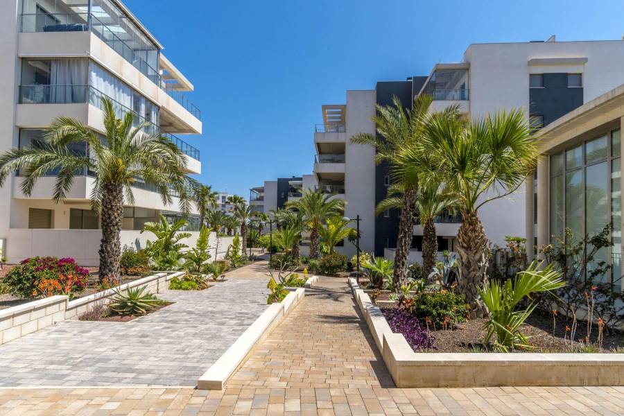 Sale - Penthouse - Los Dolses - Orihuela Costa