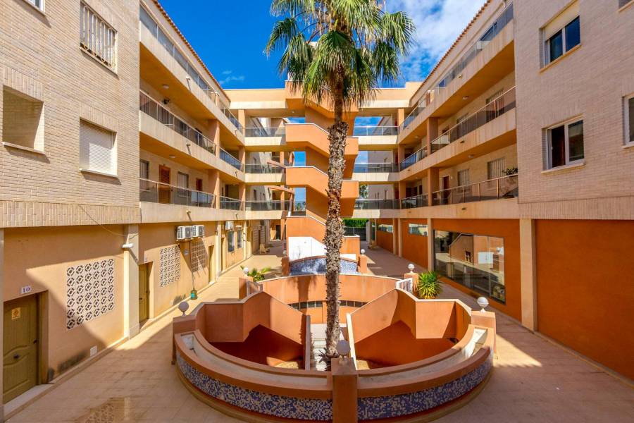 Vente - Appartement de ville - Playa Flamenca - Orihuela Costa