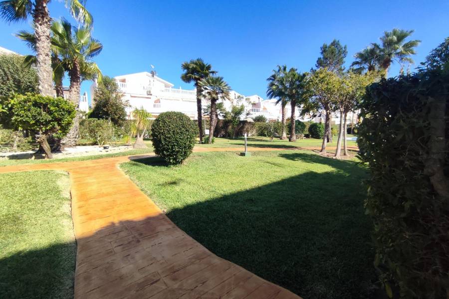 Vente - Maison - El moncayo - Guardamar del Segura