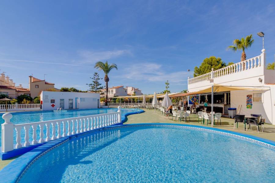 Sale - Single family house - Torreta florida - Torrevieja