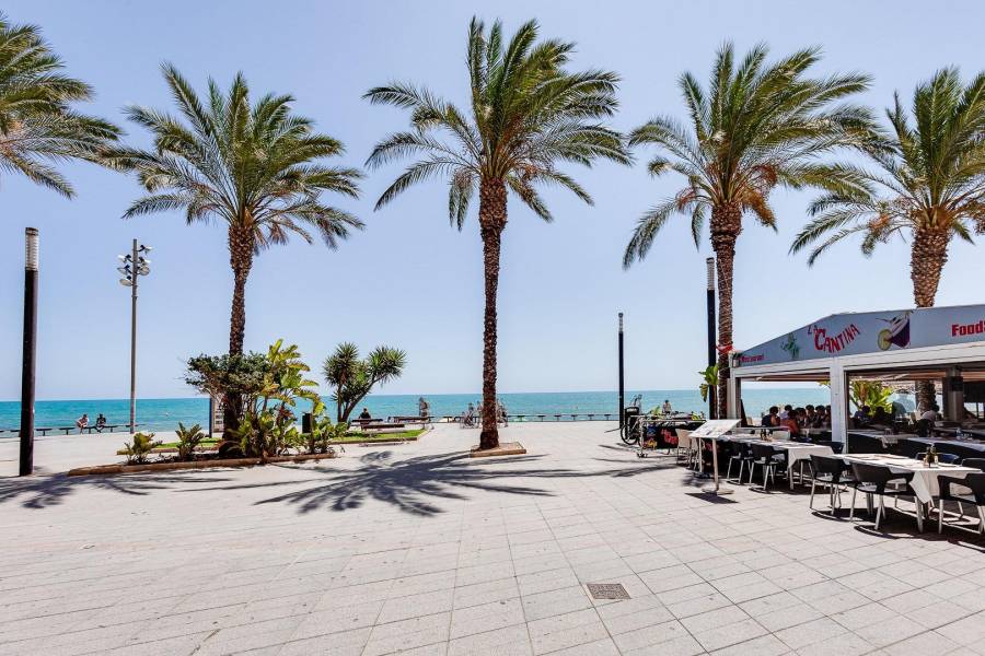 Venta - Apartamento - Centro - Torrevieja
