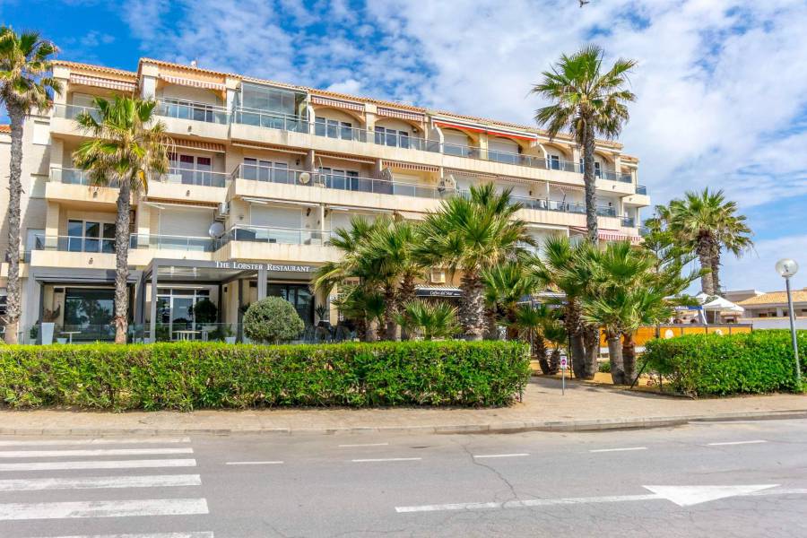 Vente - Appartement de ville - Playa Flamenca - Orihuela Costa