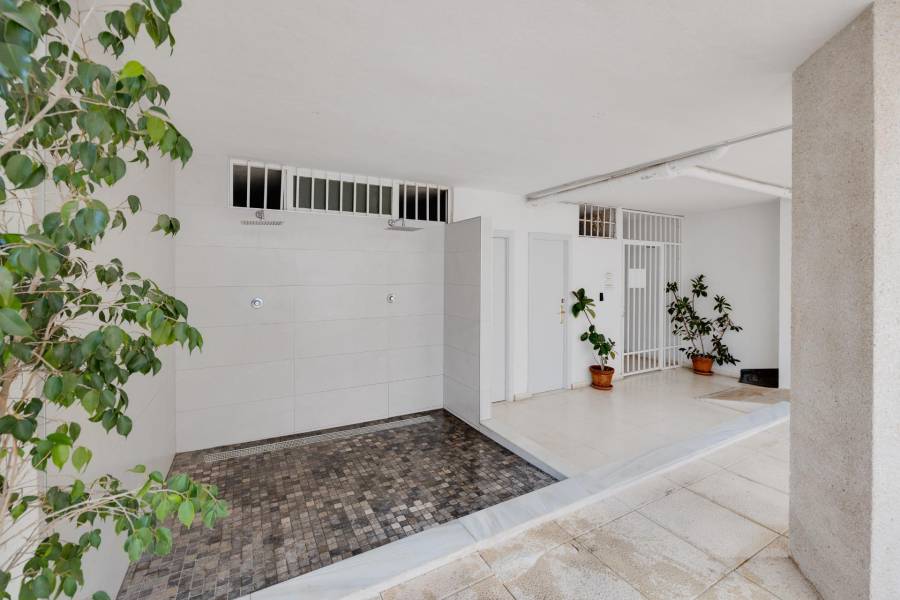 Venta - Estudio - Playa del cura - Torrevieja