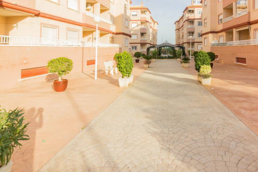 Sale - Apartment - Algorfa