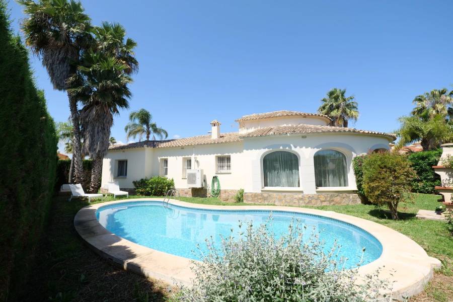 Vente - Maison individuelle - Oliva nova - Oliva