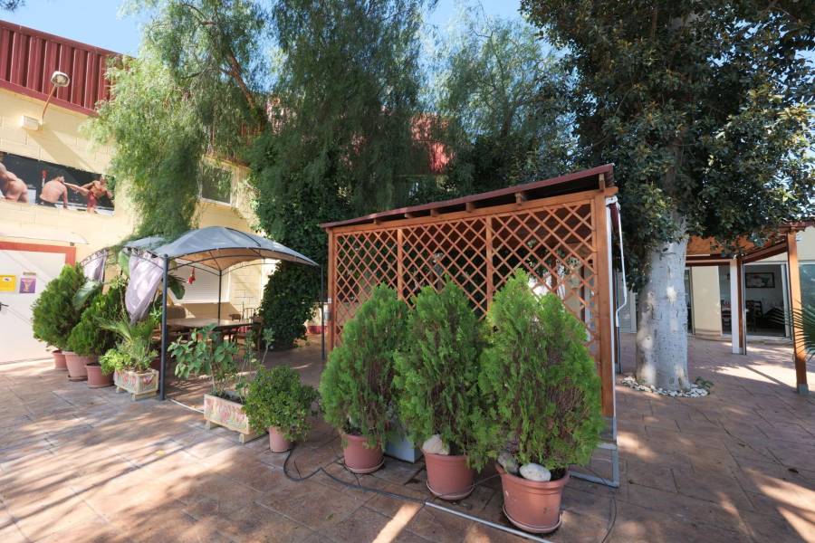 Vente - Local commercial - Almoradí - Almoradi