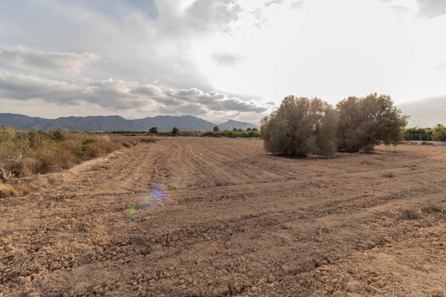 Venta - Terreno rural - Campo - Benferri