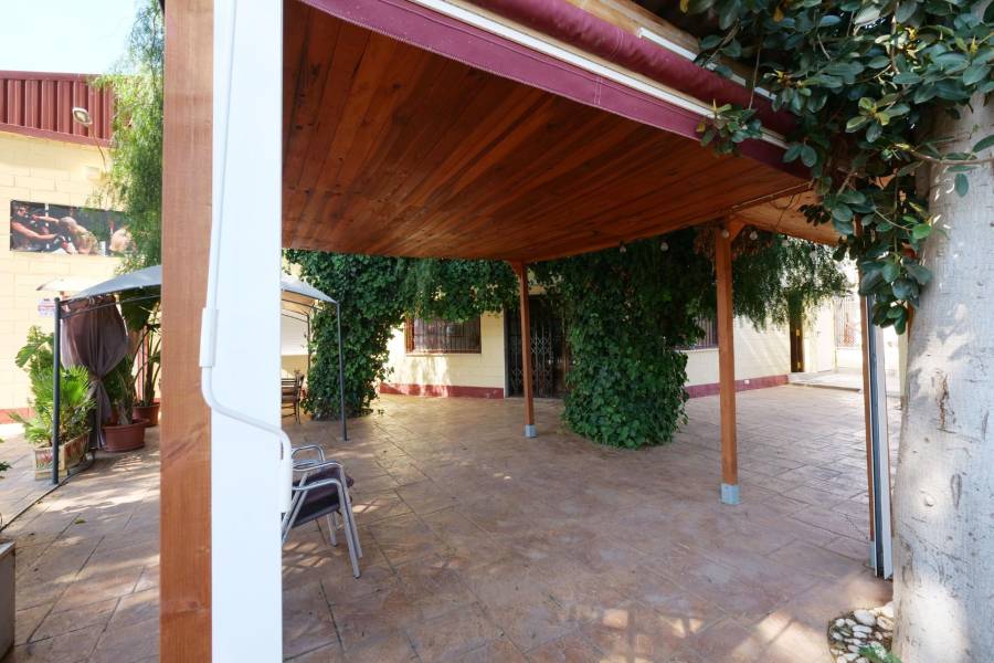 Vente - Local commercial - Almoradí - Almoradi