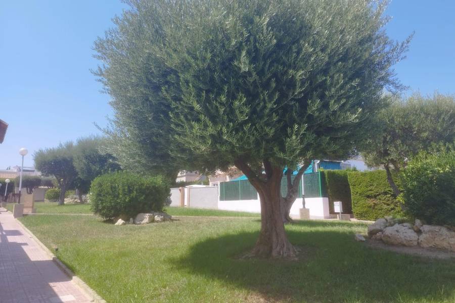 Sale - Terraced house - Los altos - Torrevieja