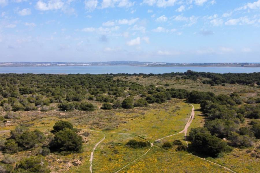 Venta - Bungalow Planta Baja - El chaparral - Torrevieja