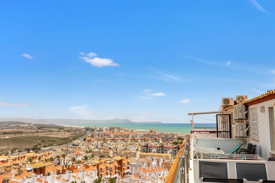 Vente - Penthouse Duplex - Torre la mata - Torrevieja