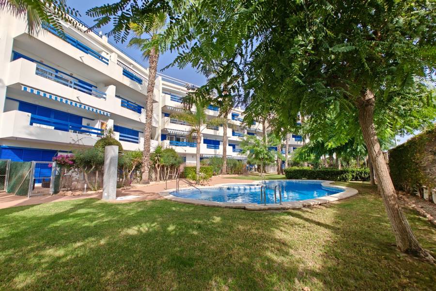 Vente - Appartement - Playa Flamenca - Orihuela Costa