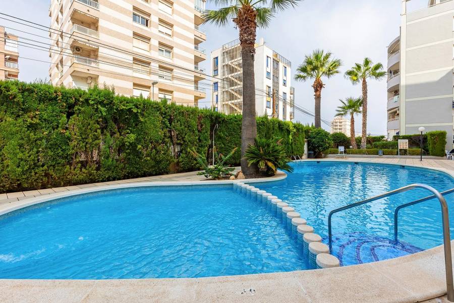 Vente - Semi penthouse - Nueva Torrevieja - Torrevieja