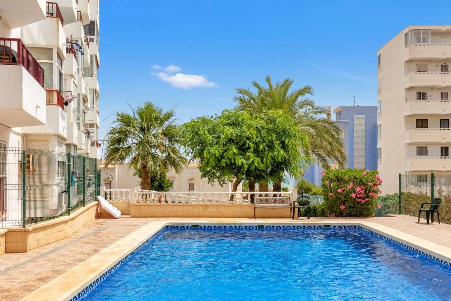 Sale - Duplex Penthouse - Torre la mata - Torrevieja