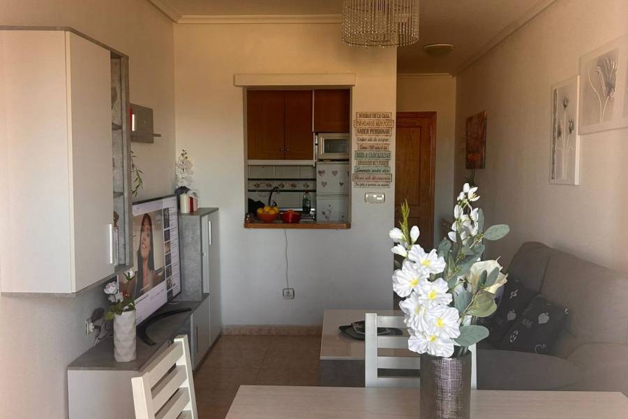 Vente - Appartement - Centro - Torrevieja