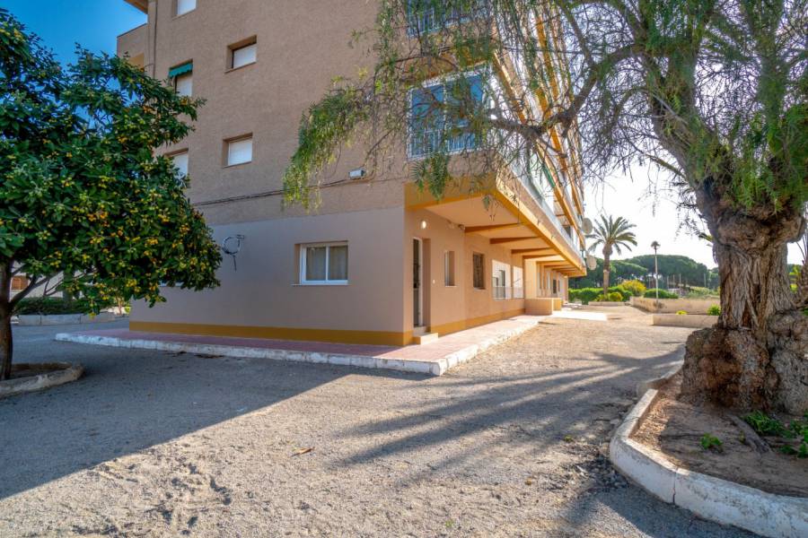 Sale - Apartment - Urb. pinomar - Guardamar del Segura